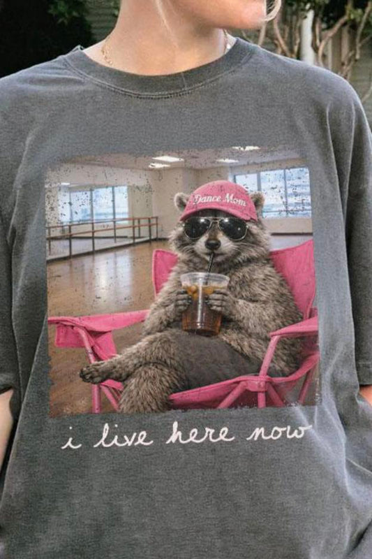 Dance Raccoon