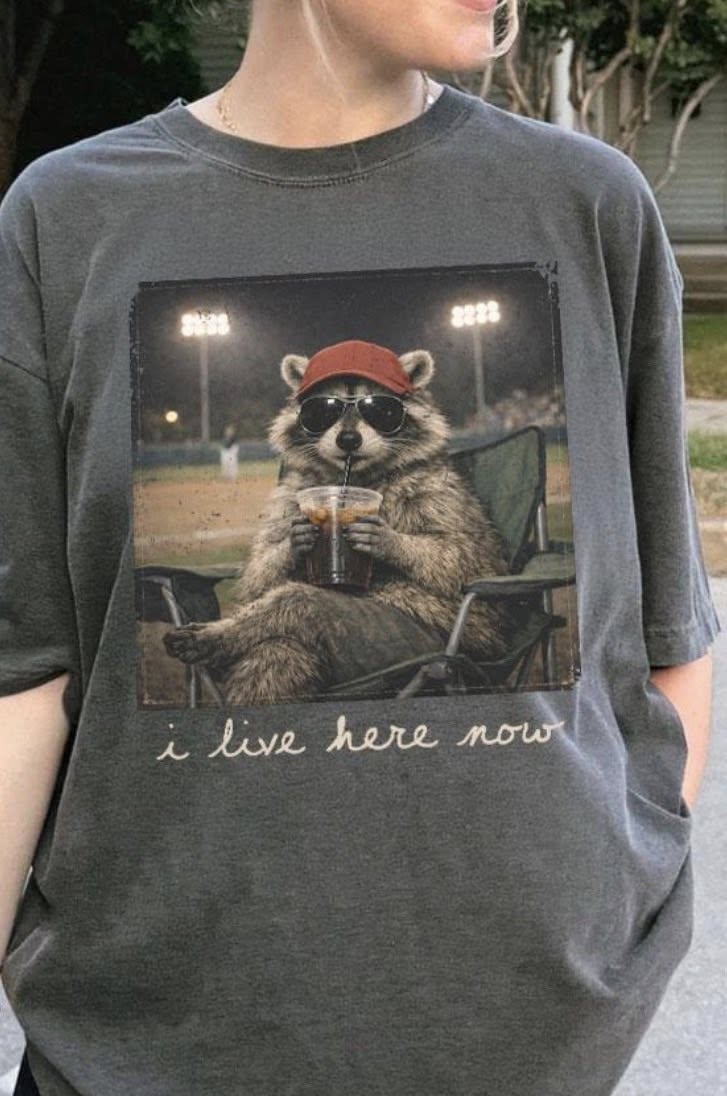 Baseball/Softball Raccoon