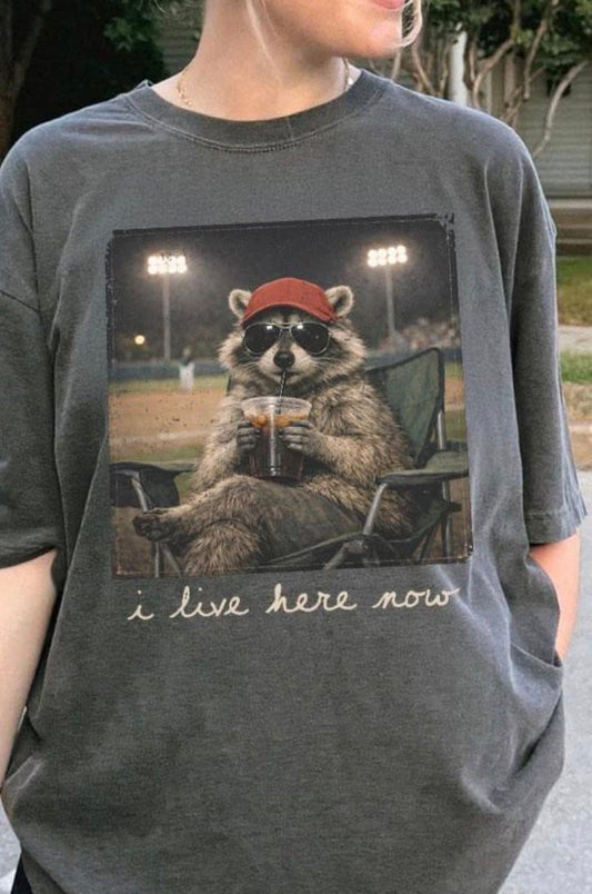 Baseball/Softball Raccoon