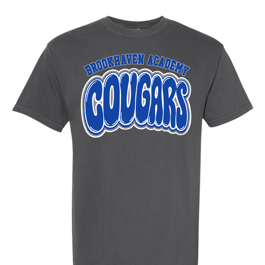 Brookhaven Academy Cougars Bubble Letters