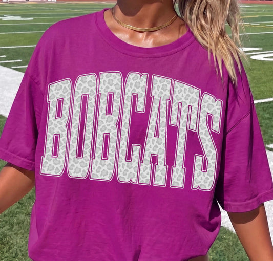 Bobcats Snow Leopard